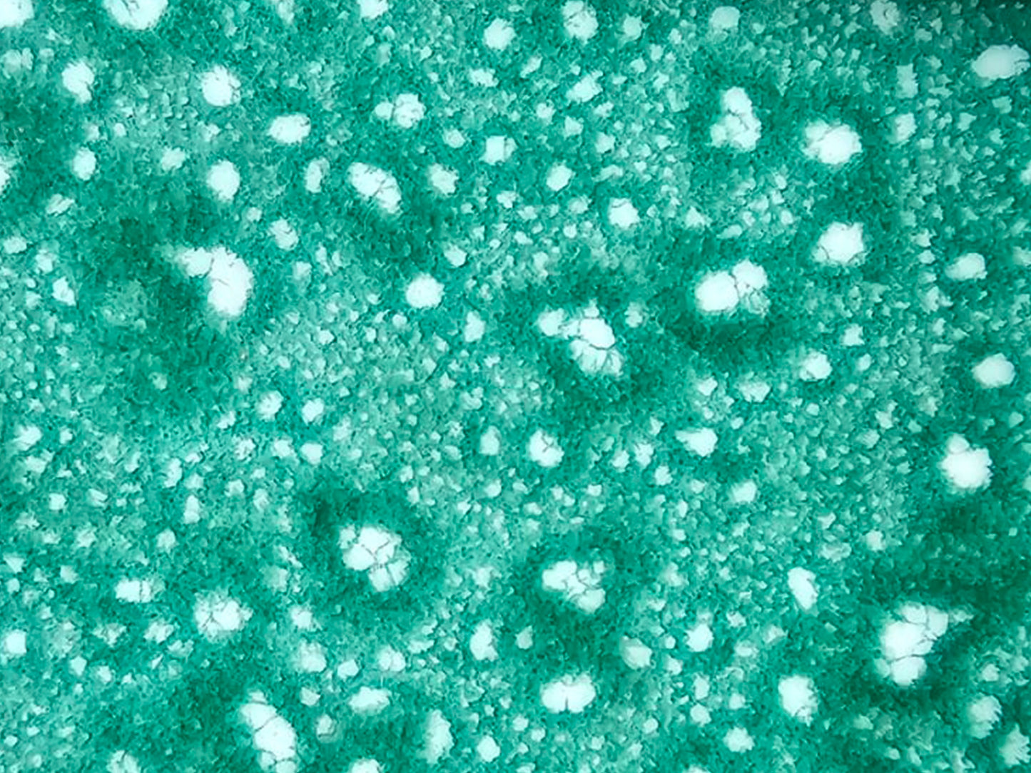 Tile | Raindrops | Emerald Green