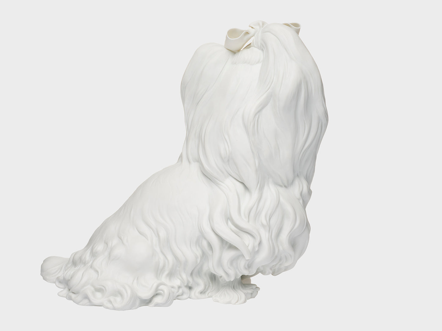 Yorkshire Terriers | 537 | white biscuit