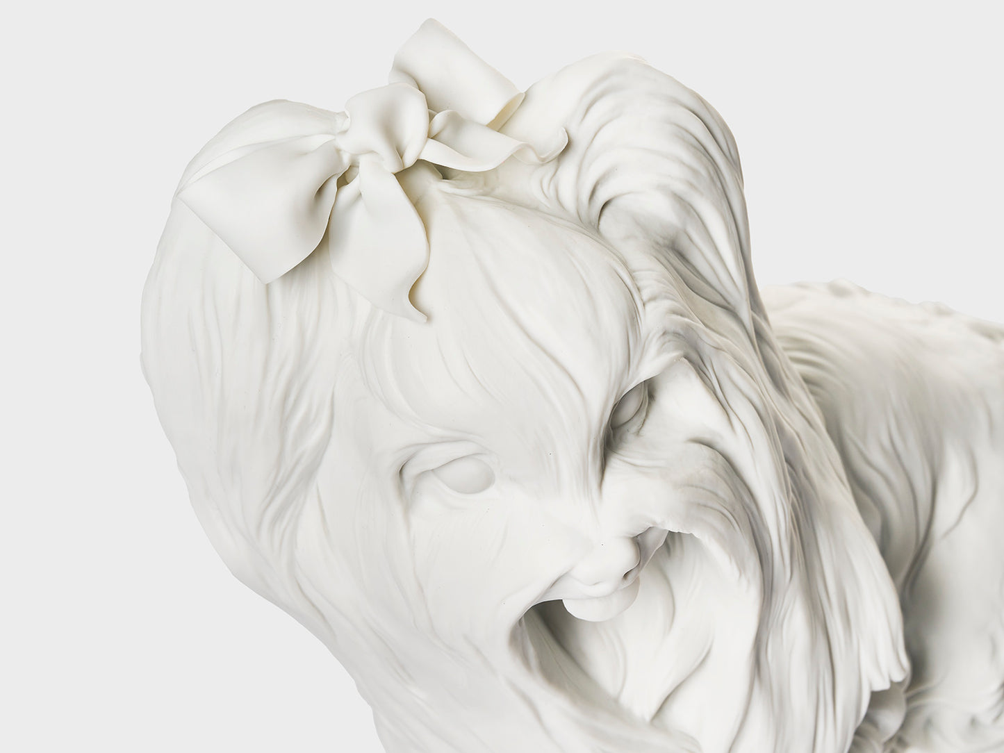 Yorkshire Terriers | 537 | white biscuit