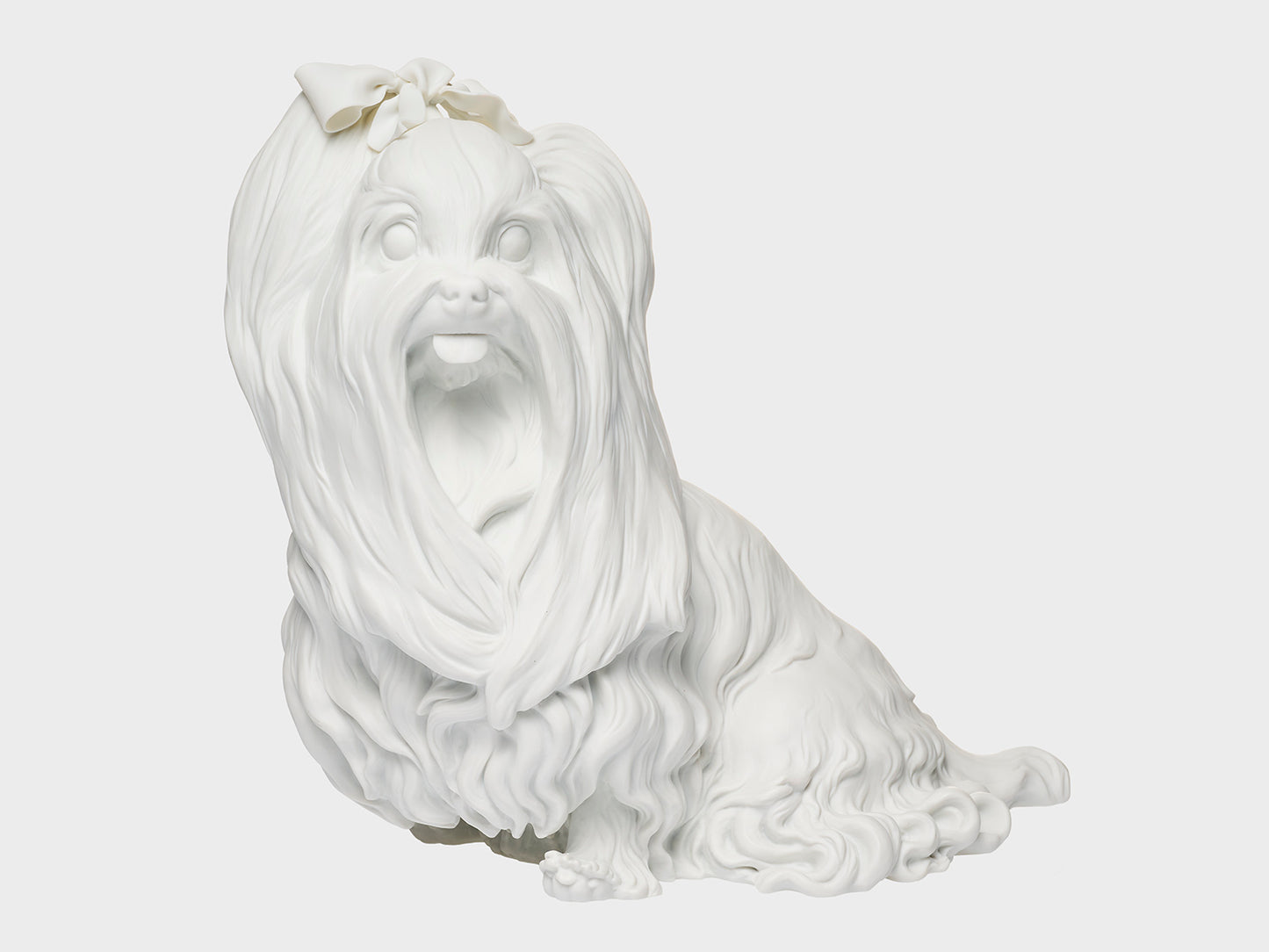 Yorkshire Terriers | 537 | white biscuit