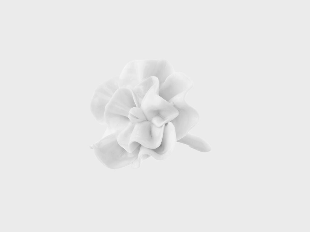 Table flower petunia