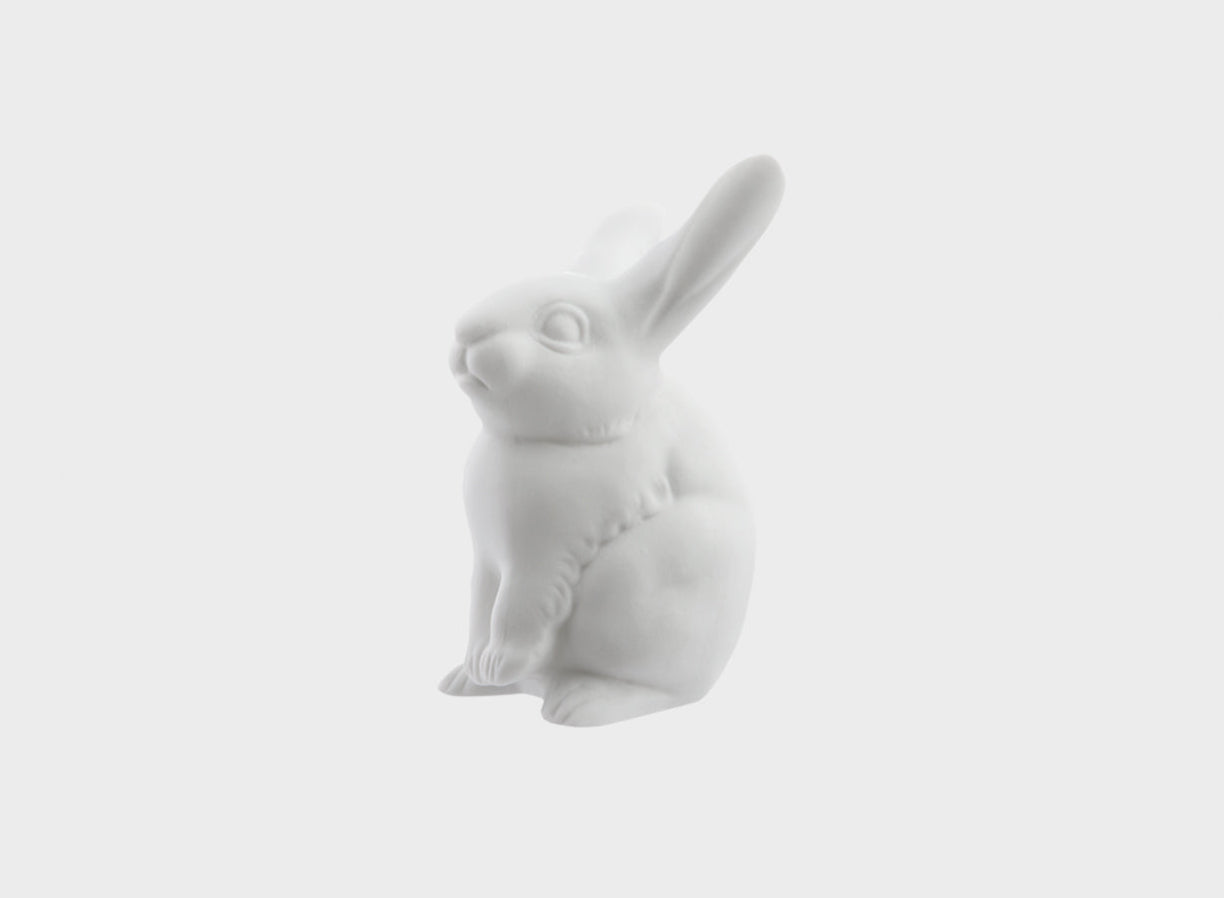 Small hare