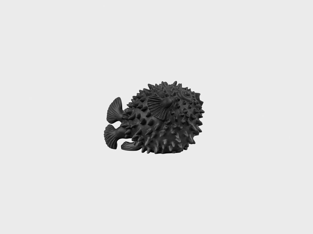 Pufferfish