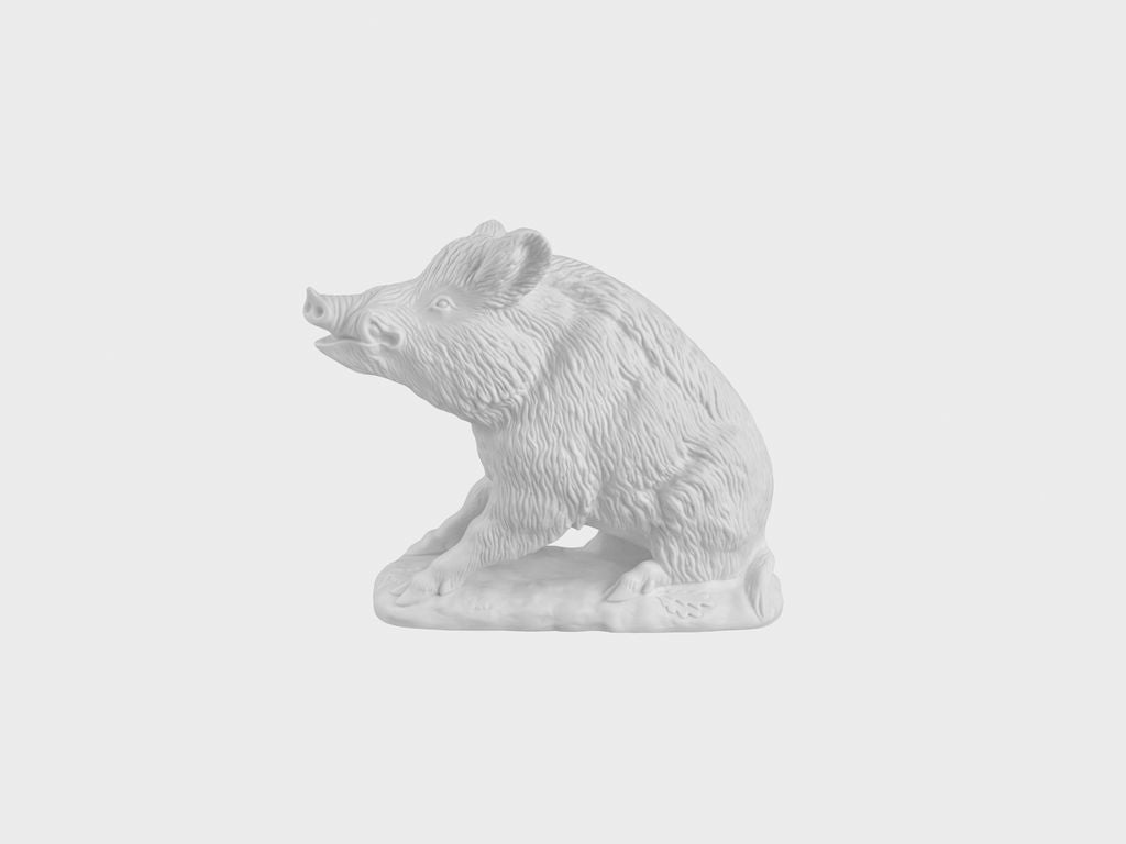 Wild boar