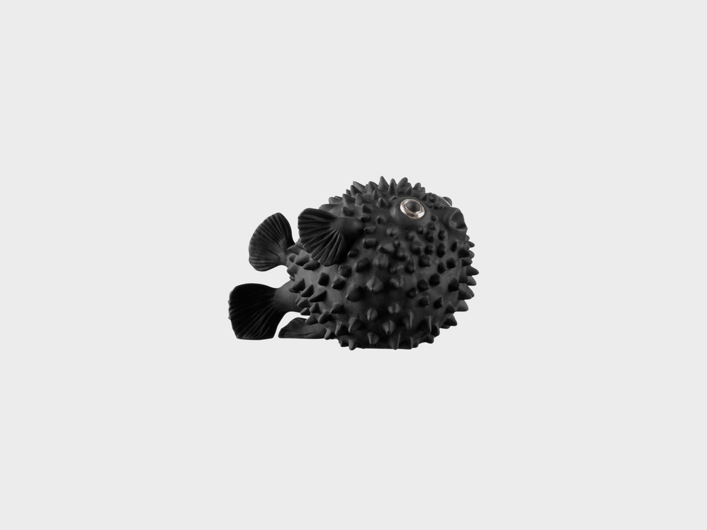 Pufferfish golden eye