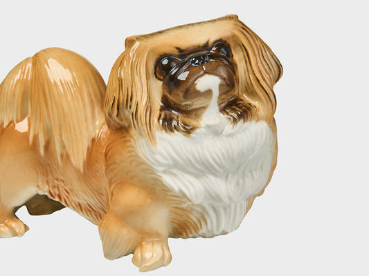 Pekinese