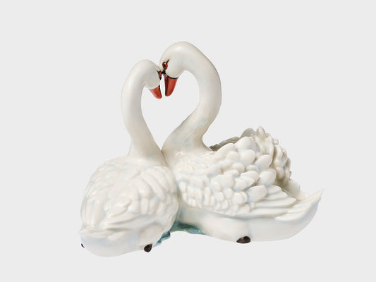 Swan couple