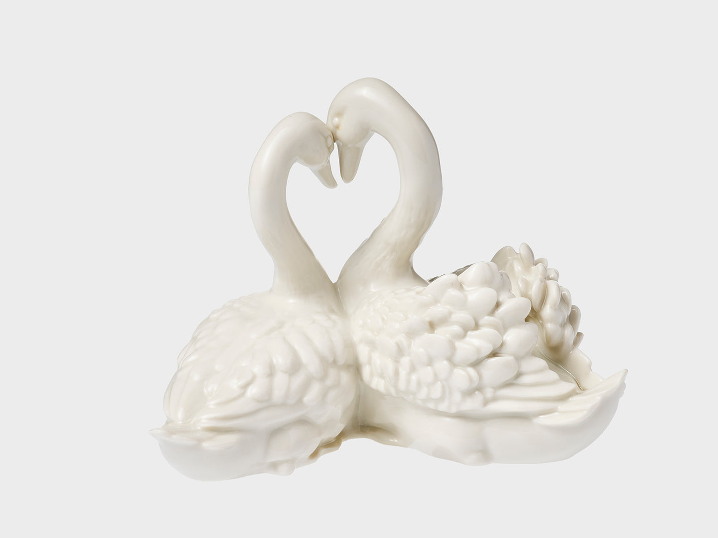 Swan couple