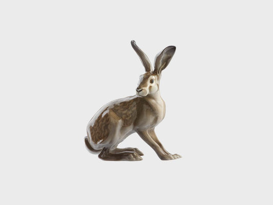 Hare