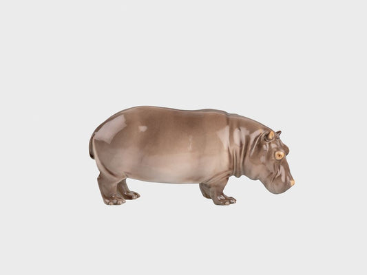 Hippopotamus