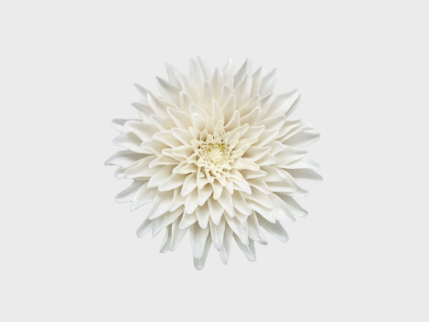 TANTALIZING DECORATION