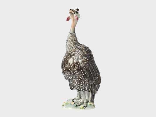 Guinea fowl